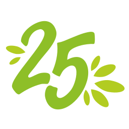 25n.de Logo