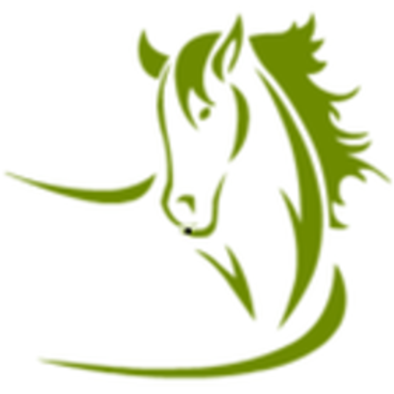 4Beiner Shop Traun - Sophie Grüneis Logo