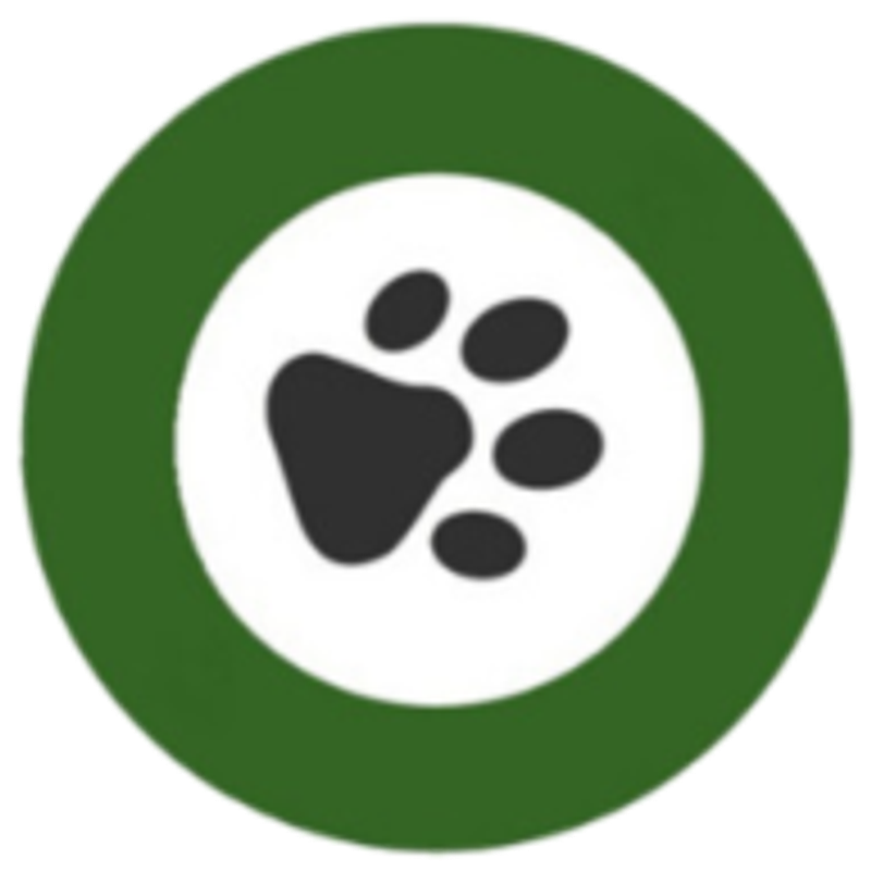 4PfotenCoach Logo