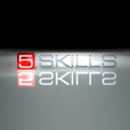 5SKILLS GmbH & Co. KG Logo