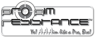Aaa Shocks Logo