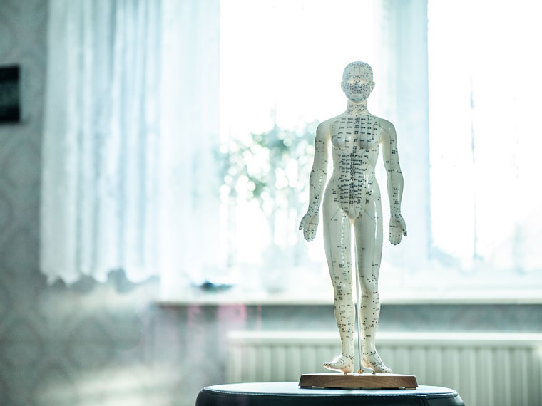 Absolut Physio Logo