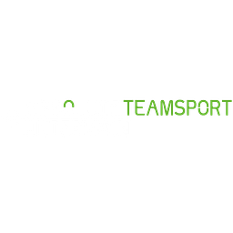 ABSOLUTE TEAMSPORT UNTERMAIN GmbH Logo