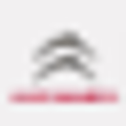 Accessoires Citroen-lorient Logo
