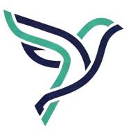 Adsovo Logo