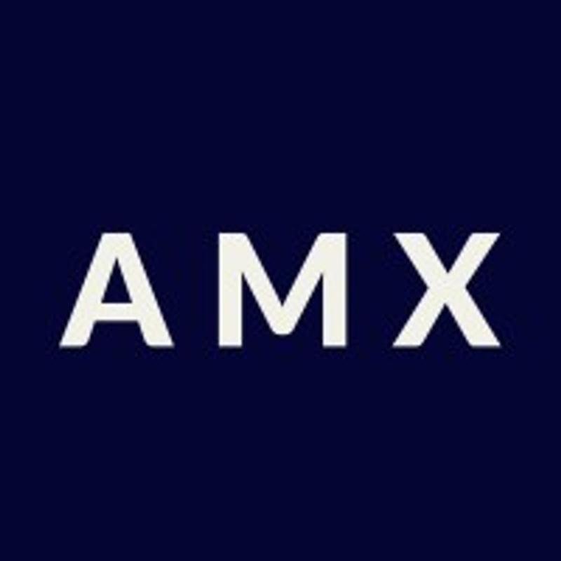 AMX - Agile Management Experts Logo