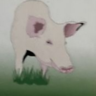 Jens Verwold Agrarhandel Agrarbedarf Verwold Logo