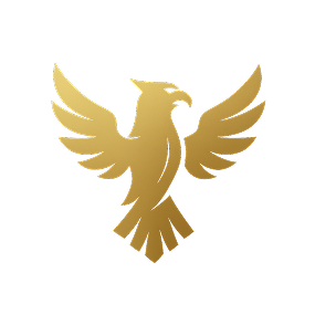 Bibani Solutions Logo