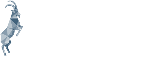 Zock Alexander Coaching, Wahrnehmen- Wagen-Wirken Logo