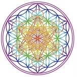 All Aura Logo