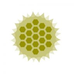 Krieg Carolyn Dr. Logo