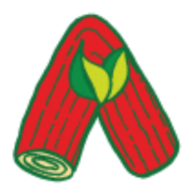Allgeier - Holz KG Logo