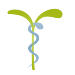 Allgemeinärztliche Praxis Rapf Logo