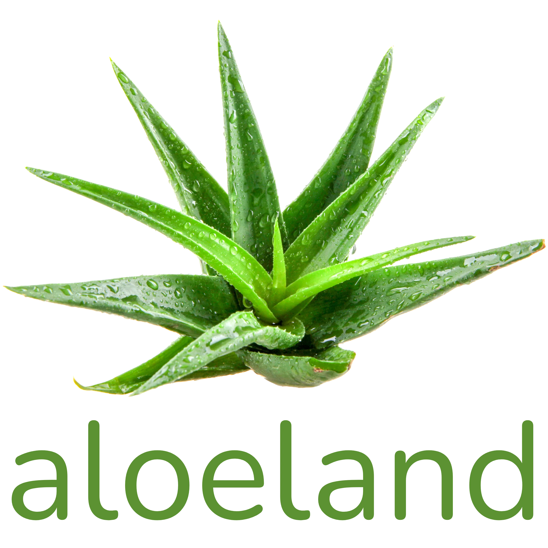 aloeland Lychen Logo