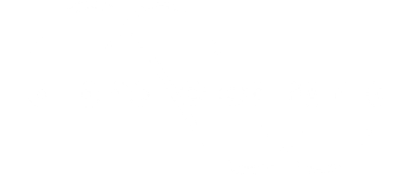 alpha electronic Ing. A. Berger GmbH Elektrofachgeschäft Logo