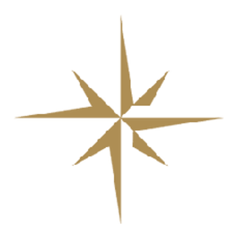 Amadeus Rivercruises Logo