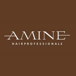AMINE Hairprofessionals Logo