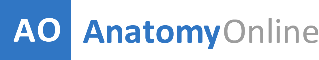 Katja Tomasino "Anatomy-Online Logo