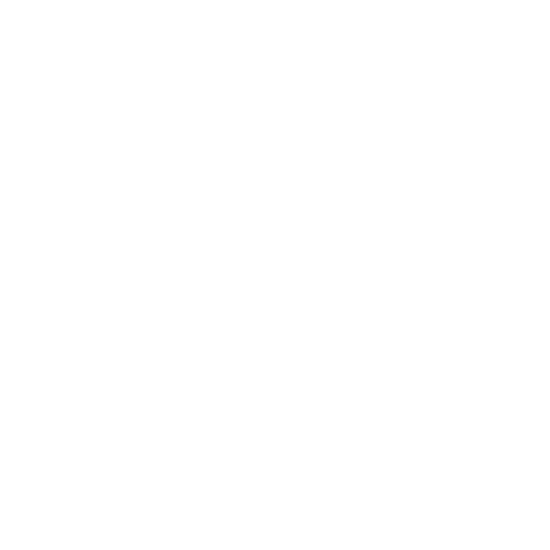 Praxis Physiohealth Logo