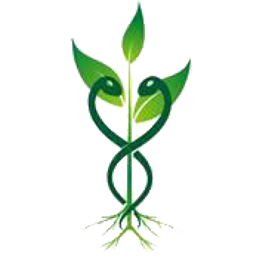 Groenewold Angeliena Heilprakt. Praxis f. Körpertherapie Logo