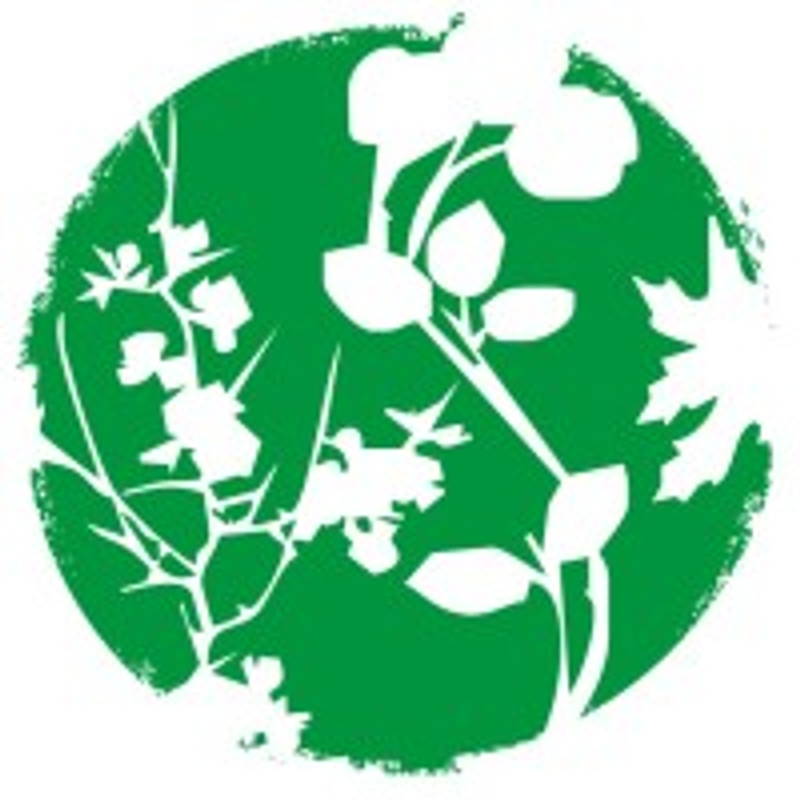 Angie Chian Skincare Logo