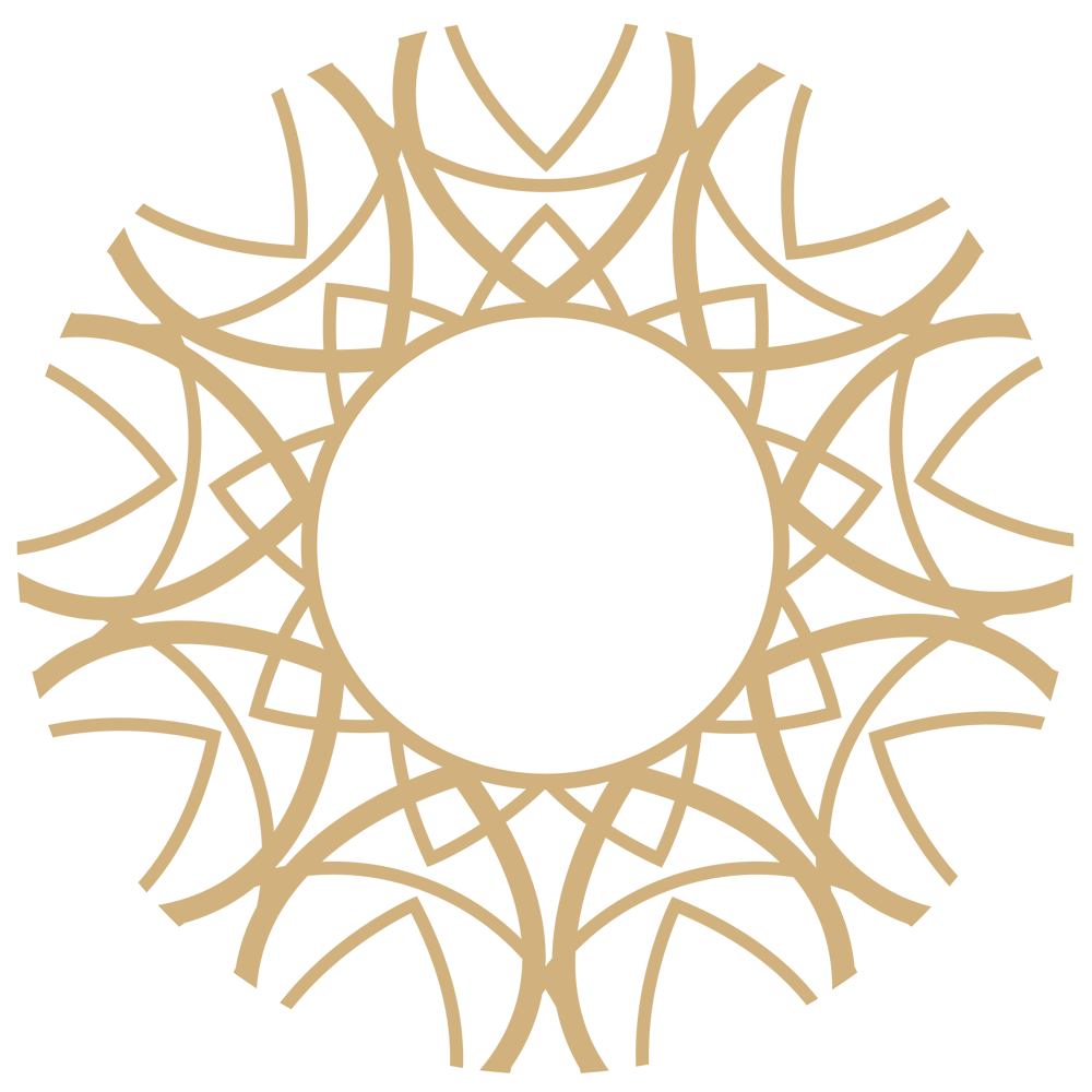 Animamea Akademie Logo