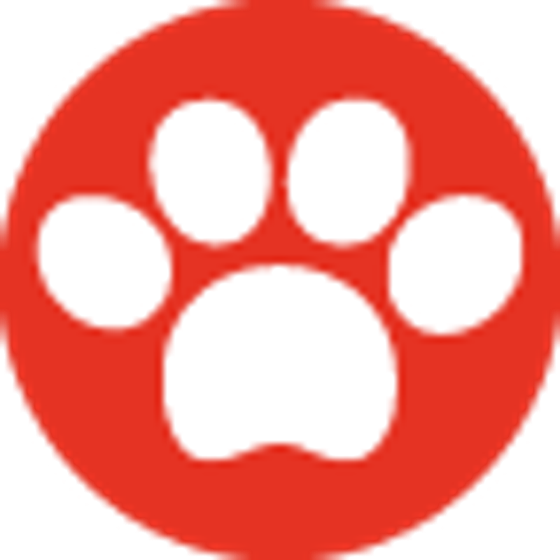 Anis Logo