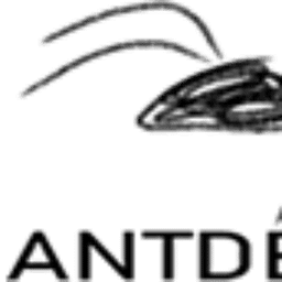 Antderground Logo