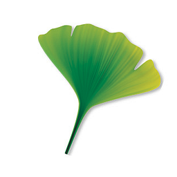 Hatzler Antje Logo