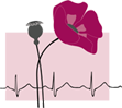 Boseniuk Sabine Dr.med. Schmerztherapie, Akupunktur, Lesinski Ryszard Logo