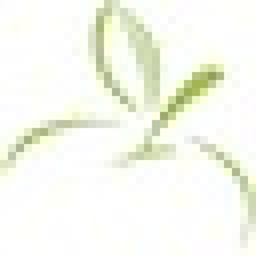 Mollaakbari Karim Zahnarztpraxis Logo