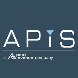 APIS Informationstechnologien GmbH Logo