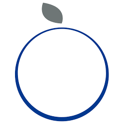 appel insurance brokers gmbh Logo