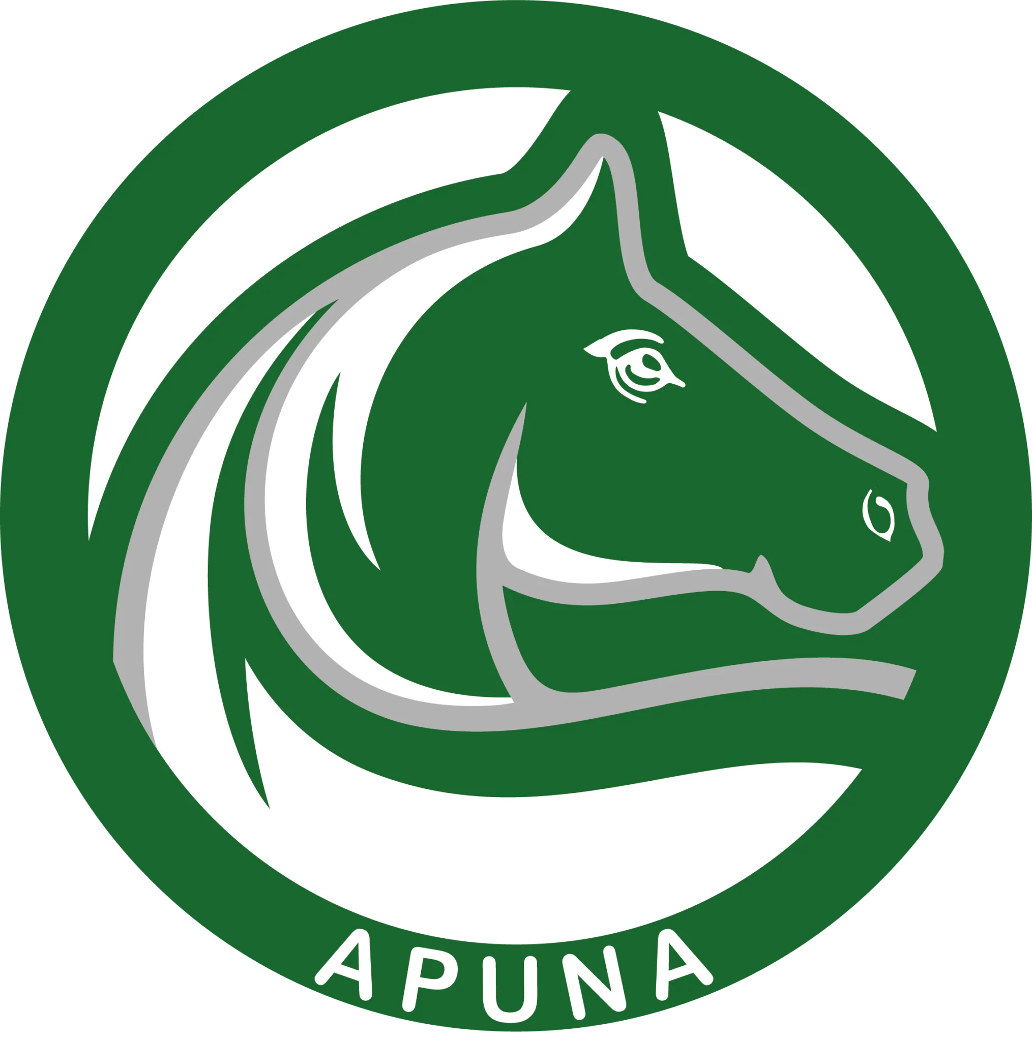 apuna-shop.de Logo