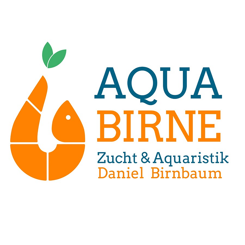 Aqua Birne Logo