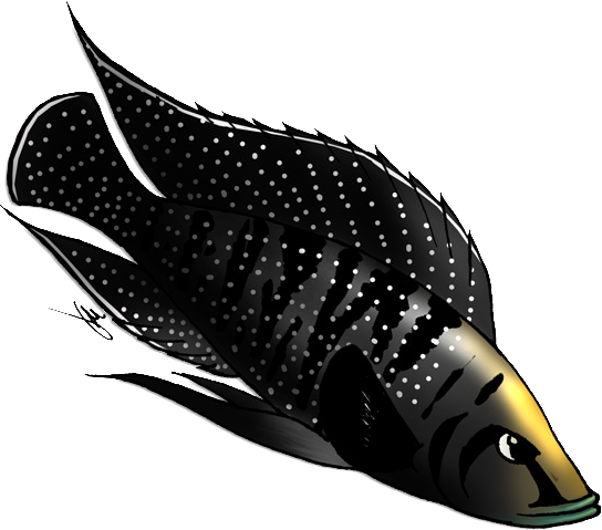 Aquarift Logo