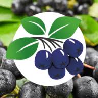 Aronia-Swiss.ch Logo