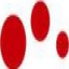 arro La Bruna Rosario Logo