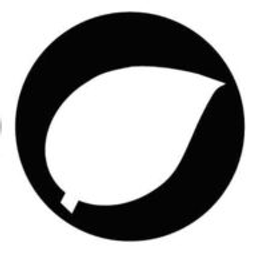 Artemis Logo