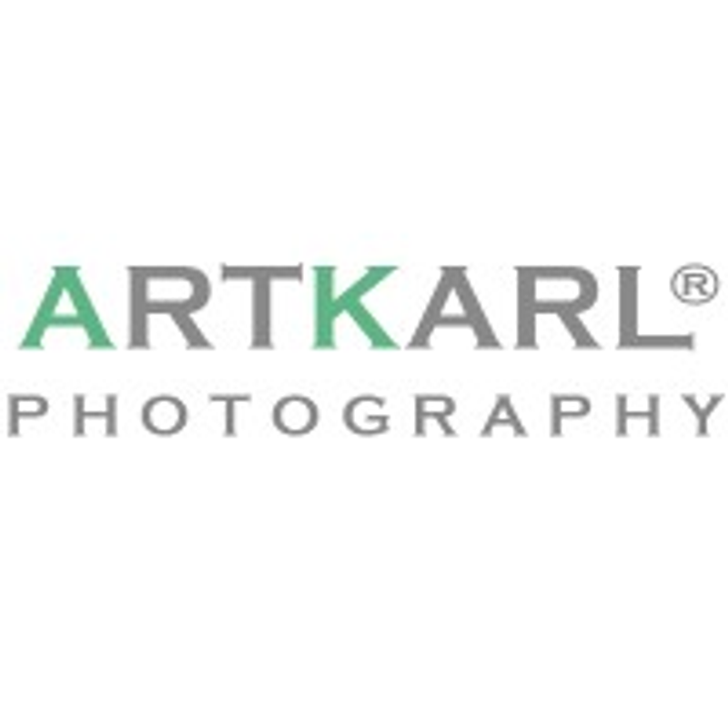ARTKARL® Logo