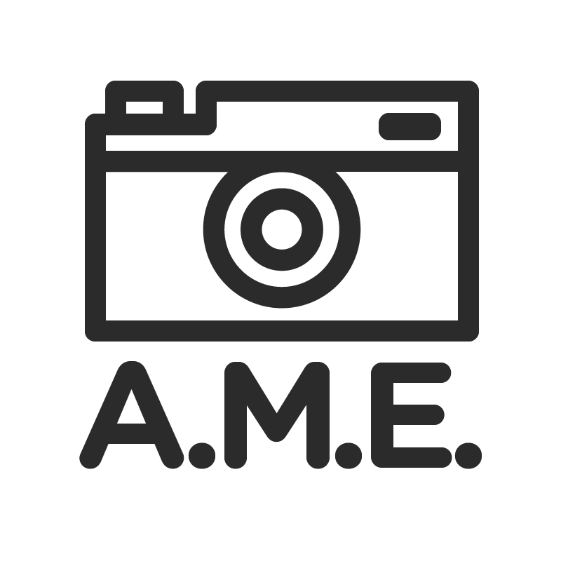Art Meets Education Logo