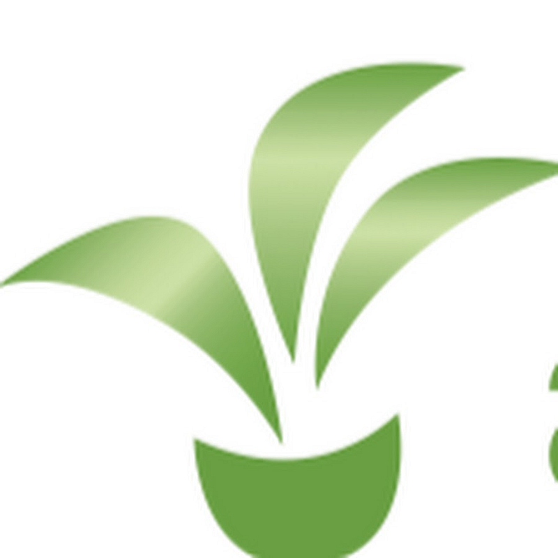 artplants.de Online-Shop Logo
