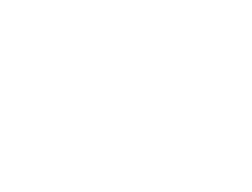 Dragon Logo