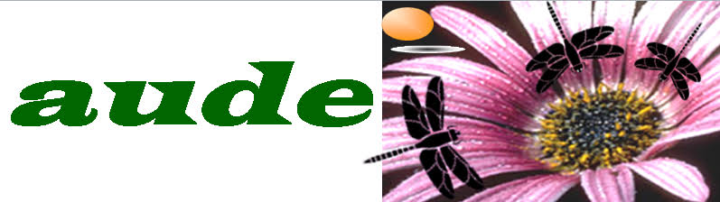 aude GmbH Arbeitssicherheit, Umweltschutzprodukte, Dienstleistung, Entsorgung Logo