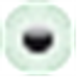 Ghodsizad Augenarzt Praxis Shahrzad Logo