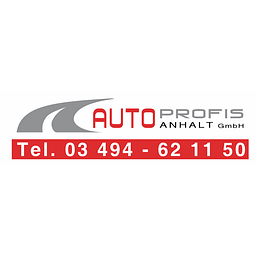 Autoprofis Anhalt GmbH Logo