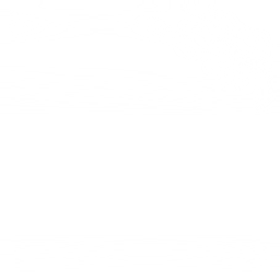 Auto Stolar Logo