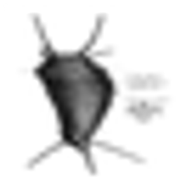 Autorenbuchhandlung Marx & Co. GmbH Buchhandel Logo