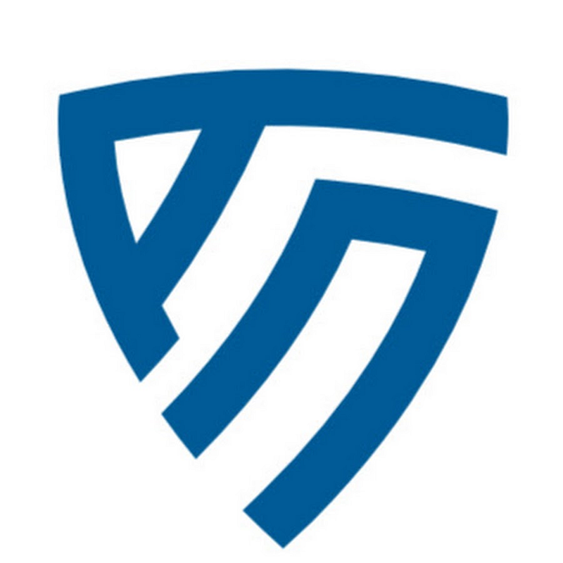 Avanet Logo