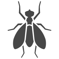 A. Schreier Logo